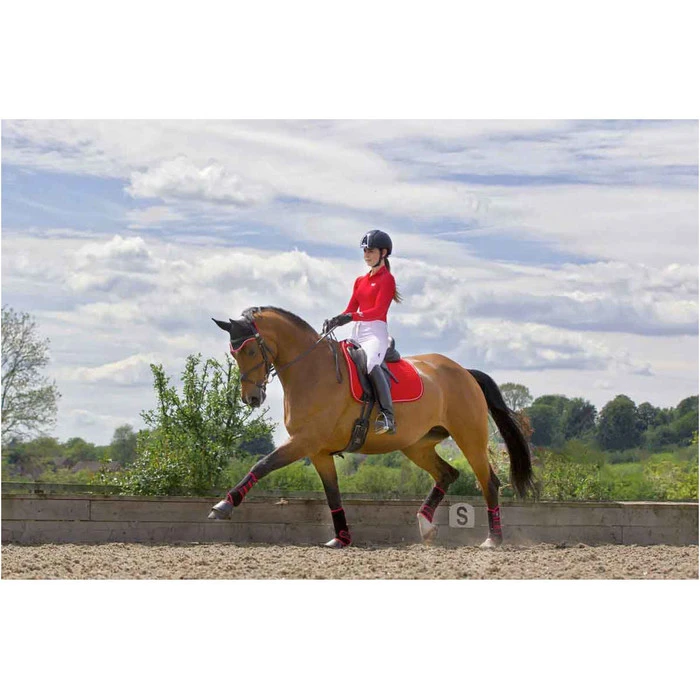 2022 Woof Wear Performance Riding Shirt WA0001 - Royal Red Colour Royal Red 4 2022 Woof Wear Performance Riding Shirt WA0001 - Royal Red Colour Royal Red - Image 2