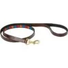 2023 Weatherbeeta Polo Leather Dog Lead 10016980 - Beaufort Brown / Red / Orange / Blue Colour Red/Blue/Orange/Beaufort Brown -Equestrian Clothing Sales 0309ba80f28546d64939962c1beeb74f.700x700
