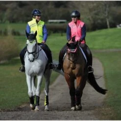 Weatherbeeta Unisex Reflective Lightweight Waterproof Vest Hi Vis Pink 1005268 Colour Pink -Equestrian Clothing Sales 1005273007 1005273002 1004916006 WB REFLECT Lifestyle scaled e1621425506867.700x700