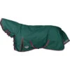 2023 Weatherbeeta Comfitec Plus Dynamic II Lite Combo Neck Rug - Green / Grey / Red -Equestrian Clothing Sales 1006910000 GREENGREYRED WB CFT PDYNMC II CMB Image Null Hero.700x700