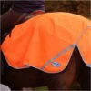 2022 Weatherbeeta 300D Reflective Exercise Sheet 000037 - Orange -Equestrian Clothing Sales 1516 Weatherbeeta 300D Reflective Exercise Sheet Orange.700x700