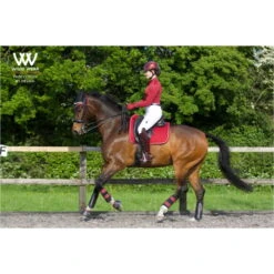 Woof Wear Womens Performance Riding Shirt - Shiraz Colour Shiraz -Equestrian Clothing Sales 1797 Shiraz201.700x700