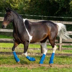 2022 Equilibrium Equi-Chaps Close Contact Chaps EQB1200 - Navy / Yellow -Equestrian Clothing Sales 1847 202220Equilibrium20Equi Chaps20Close20Contact20Chaps20EQB120020 20Navy20Yellow20Lifestyle202.700x700