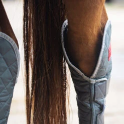 2022 Equilibrium Hind & Hock Magnetic Chaps EQB1186 - Grey -Equestrian Clothing Sales 1852 202220Equilibrium20Hind2020Hock20Magnetic20Chaps20EQB118620 20Grey20Close20Up201.700x700