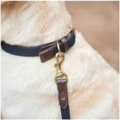 Weatherbeeta Leather Plaited Dog Collar - Brown / Navy Colour Navy/Brown -Equestrian Clothing Sales 1895 7f1165e3a7083ececd54569a51cb24f0.700x700