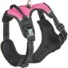 2022 Weatherbeeta Anti Pull / Traveling Harness 1003617 - Black / Pink Colour Black/Pink -Equestrian Clothing Sales 202120Weatherbeeta20Anti20Pull20Traveling20Harness20100361720 20Black20Pink20product.700x700