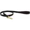 2022 Weatherbeeta Leather Dog Lead - Black 2 2022 Weatherbeeta Leather Dog Lead - Black -Equestrian Clothing Sales 202120Weatherbeeta20Leather20Dog20Lead20 20Black.700x700