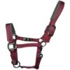 2022 Woof Wear Contour Head Collar WS0022 - Shiraz Colour Shiraz