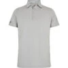 2022 Dubarry Mens Sorrento Polo Shirt 4256 - Platinum Colour Platinum -Equestrian Clothing Sales 202220Dubarry20Mens20Sorrento20Polo20Shirt20425620 20Platinum.700x700