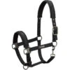 2022 Eskadron Pin Buckle Headcollar 410173815 - Black -Equestrian Clothing Sales 202220Eskadron20Pin20Buckle20Headcollar2041017381520 20Black20Main.700x700