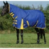 2022 Weatherbeeta Comfitec Classic Combo Neck Medium Turnout Rug 1000423 - Blue / Lemon Colour Blue/Lemon