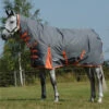 2022 Weatherbeeta Comfitec Classic Combo Neck Medium Turnout Rug 1000423 - Gunmetal / Coral Colour Gunmetal/Coral -Equestrian Clothing Sales 202220Weatherbeeta20Comfitec20Classic20Combo20Neck20Medium20Rug20100042320 20Gunmetal20Coral201.700x700