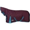 2023 Weatherbeeta Comfitec Essential Combo Neck Medium Turnout Rug 10004151 - Grape Purple / Blue Colour Blue/Grape Purple 1 2023 Weatherbeeta Comfitec Essential Combo Neck Medium Turnout Rug 10004151 - Grape Purple / Blue Colour Blue/Grape Purple -Equestrian Clothing Sales 202220Weatherbeeta20Comfitec20Essential20Combo20Neck20Medium20Rug201000415120 20Grape20Purple20Blue1.700x700