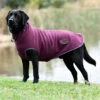 2022 Weatherbeeta Comfitec Fleece Zip Dog Coat 10034570 - Maroon / Grey -Equestrian Clothing Sales 202220Weatherbeeta20Comfitec20Fleece20Zip20Dog20Coat201003457020 20Maroon20 20Grey20Main.700x700