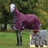 2022 Weatherbeeta Comfitec Plus Dynamic II Lite Combo Neck Rug & Liner Bundle - Maroon / Grey -Equestrian Clothing Sales 202220Weatherbeeta20Comfitec20Plus20Dynamic20II20Lite20Combo20Neck20Rug202620Liner20 20Maroon20Grey20Main.700x700