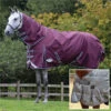 2022 Weatherbeeta Comfitec Plus Dynamic II Medium-Lite Detach-A-Neck Rug & Liner Bundle - Grey / White / Maroon -Equestrian Clothing Sales 202220Weatherbeeta20Comfitec20Plus20Dynamic20II20Medium Lite20Detach A Neck20Rug202620Liner20 20Grey20White2020Maroon20Main.700x700