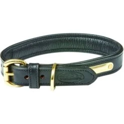2022 Weatherbeeta Padded Leather Dog Collar 1001696 - Black Colour Black