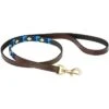 2022 Weatherbeeta Polo Leather Dog Lead 1001698019 - Brown / Blue -Equestrian Clothing Sales 202220Weatherbeeta20Polo20Leather20Dog20Lead20Brown20Blue.700x700