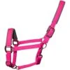 2022 Woof Wear Full Size Contour Head Collar WS0022-BERY-FS - Berry -Equestrian Clothing Sales 202220Woof20Wear20Cob20Contour20Head20Collar20WS0022 BERY COB20 20Berry.700x700