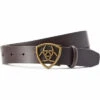 2023 Ariat Womens The Shield Belt 10043947 - Cocoa Colour Cocoa 1 2023 Ariat Womens The Shield Belt 10043947 - Cocoa Colour Cocoa -Equestrian Clothing Sales 202320Ariat20Womens20The20Shield20Belt201004394720 20Cocoa20Main.700x700