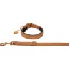2023 Eskadron Platinum Faux Leather Dog Collar & Lead Set 491039851290 Colour Cognac -Equestrian Clothing Sales 202320Eskadron20Platinum20Faux20Leather20Dog20Collar202620Lead20Set2049103985129020 20Cognac.700x700
