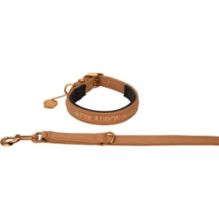 2023 Eskadron Platinum Faux Leather Dog Collar & Lead Set 491039851290 Colour Cognac