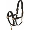 2023 Eskadron Platinum Halter Double Pin Plait Headcollar 420139821290 - Black 2 2023 Eskadron Platinum Halter Double Pin Plait Headcollar 420139821290 - Black -Equestrian Clothing Sales 202320Eskadron20Platinum20Halter20Double20Pin20Plait20Headcollar2042013982129020 20Black.700x700