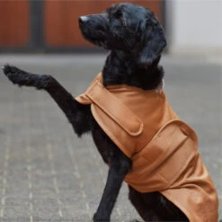 2023 Eskadron Platinum Softshell Dog Coat 180539331640 - Cognac -Equestrian Clothing Sales 202320Eskadron20Platinum20Softshell20Dog20Coat2018053933164020 20Cognac20Lifestyle.700x700