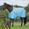 2023 Weatherbeeta Comfitec Essential Standard Neck Lite Turnout With FREE Headcollar - Seahorse Print -Equestrian Clothing Sales 202320Weatherbeeta20Comfitec20Essential20Standard20Neck20Lite20Coordinate20Headcollar20100042031002094020 20Seahorse20Print20Light20Blue20Main20New.700x700