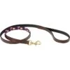 2023 Weatherbeeta Polo Leather Dog Lead 10016980 - Beaufort Brown / Emerald / Pink / Blue Colour Blue/Pink/Emerald/Beaufort Brown