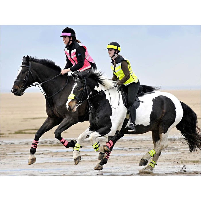 2022 Equisafety Horse Riding Hi-Vis WaistCoat HIT- Pink 5 2022 Equisafety Horse Riding Hi-Vis WaistCoat HIT- Pink - Image 3
