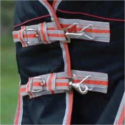 2022 Weatherbeeta Comfitec Premier & Therapy-Tec Medium Detach-A-Neck Turnout Rug - Black / Red 11 2022 Weatherbeeta Comfitec Premier & Therapy-Tec Medium Detach-A-Neck Turnout Rug - Black / Red -Equestrian Clothing Sales 2217 202220Weatherbeeta20Comfitec20Premier20With20Therapy Tec20Medium20Detach A Neck20Rug20100161401020 20Black2020Silver2020Red3.700x700