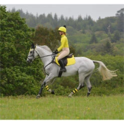 2022 Woof Wear GP Saddle Cloth WS0001 - Sunshine Yellow Colour Sunshine Yellow -Equestrian Clothing Sales 2848 DSC 0857.700x700