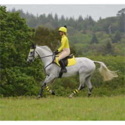 2022 Woof Wear Performance Riding Shirt WA0001 - Sunshine Yellow Colour Sunshine Yellow 9 2022 Woof Wear Performance Riding Shirt WA0001 - Sunshine Yellow Colour Sunshine Yellow -Equestrian Clothing Sales 2861 DSC 0857.700x700