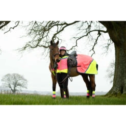 2022 Equisafety Charlotte Dujardin Hi Vis Multi Coloured Horse Sheet CD-MCQWS - Pink / Yellow -Equestrian Clothing Sales 3127 Equisafety Jan22 144201201.700x700