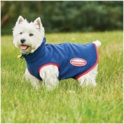 2022 Weatherbeeta Comfitec Fleece Zip Dog Coat 1003457 - Navy / Red -Equestrian Clothing Sales 3511 dcba520aaa77d83b3a95b61f57563cb3 12.700x700