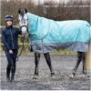 2022 Hy Equestrian StormX Original This Esme 200 Turnout Rug W/ Detachable Neck 35125 - Mint / Grey 1 2022 Hy Equestrian StormX Original This Esme 200 Turnout Rug W/ Detachable Neck 35125 - Mint / Grey -Equestrian Clothing Sales 35115 StormX Original This Esme 200 Turnout Rug With Detachable Neck Mint Grey Primary 01.700x700