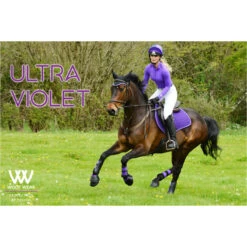 2022 Woof Wear Performance Riding Shirt WA0001 - Ultra Violet Colour Ultra Violet 9 2022 Woof Wear Performance Riding Shirt WA0001 - Ultra Violet Colour Ultra Violet -Equestrian Clothing Sales 3747 Ultra20Violet202.700x700