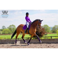 2022 Woof Wear Performance Riding Shirt WA0001 - Ultra Violet Colour Ultra Violet 8 2022 Woof Wear Performance Riding Shirt WA0001 - Ultra Violet Colour Ultra Violet -Equestrian Clothing Sales 3747 Ultra20Violet204.700x700
