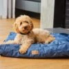 2022 Weatherbeeta Pillow Dog Bed 1001709003 - Denim -Equestrian Clothing Sales 3837 1.700x700