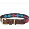 2023 Weatherbeeta Polo Leather Dog Collar 10016990 - Beaufort Brown / Emerald / Pink / Blue Colour Blue/Pink/Emerald/Beaufort Brown -Equestrian Clothing Sales 390c2bec8dd66a1599d0008dc06143df.700x700