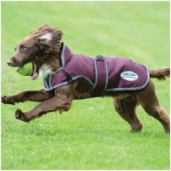 2022 Weatherbeeta Comfitec Premier Free Parka Deluxe Dog Coat 1003454051 - Grey / Maroon / White -Equestrian Clothing Sales 3951 a95c95f3893f1775969488a011c7d64d.700x700