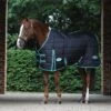 2022 Weatherbeeta Green-Tec Medium-Lite Standard Neck Rug - Black / Green -Equestrian Clothing Sales 3971 1.700x700