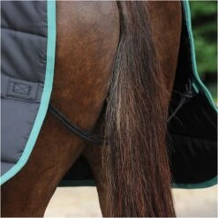 2022 Weatherbeeta Green-Tec Medium-Lite Standard Neck Rug - Black / Green -Equestrian Clothing Sales 3971 3971 7.700x700