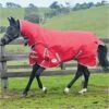 2022 Weatherbeeta Comfitec Classic Medium-Lite Combo Neck Turnout Rug - Red / Silver -Equestrian Clothing Sales 3c56e36f1a6cda77c5882c094bb7b2a4 33.700x700