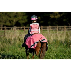 2022 Equisafety Child Hi-Vis Waistcoat CHPPWS - Pink -Equestrian Clothing Sales 4496 D7A 6701.700x700