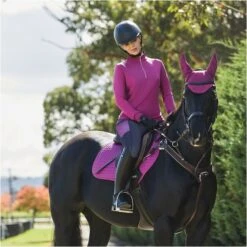 2022 Dublin Womens Power Tech Colour Block Full Grip Training Tights 1004091025 - Red Violet -Equestrian Clothing Sales 4603 1004091000 REDVIOLET 1005524000 REDVIOLET 1000071000 REDVIOLET 1000746000 REDVIOLET.700x700