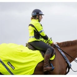 2022 Equisafety Polite Hi-Vis Waterproof Jacket Yellow -Equestrian Clothing Sales 5 7061.700x700