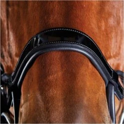 2022 Collegiate Comfitec Patent Bridle 8111 - Black Colour Black -Equestrian Clothing Sales 5218 202220Collegiate20Comfitec20Patent20Bridle20811120 20Black3.700x700