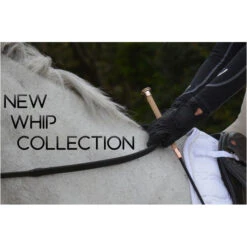 2022 Woof Wear Glitz Dressage Whip WH0001 - Black Colour Black 7 2022 Woof Wear Glitz Dressage Whip WH0001 - Black Colour Black -Equestrian Clothing Sales 5493 0002952 whips.700x700
